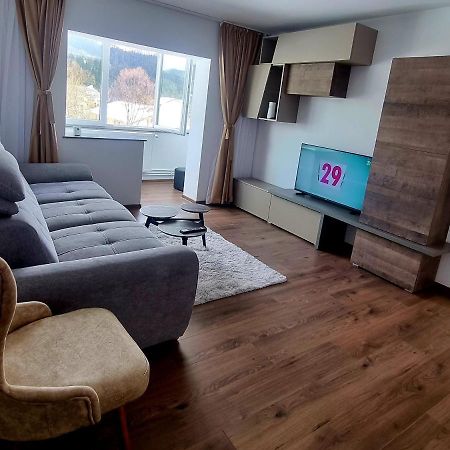 Apartament Eve Câmpulung Moldovenesc エクステリア 写真