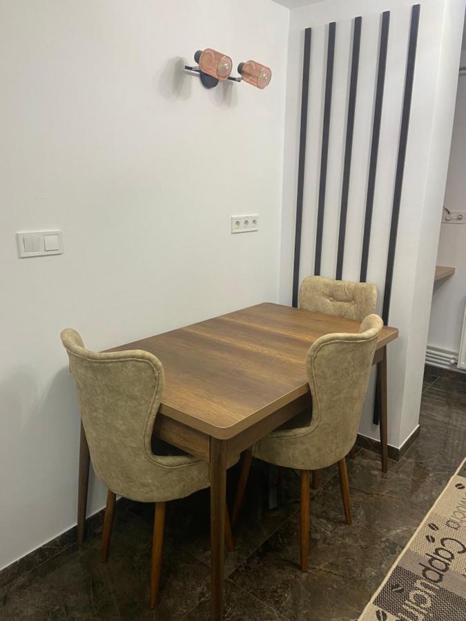 Apartament Eve Câmpulung Moldovenesc エクステリア 写真