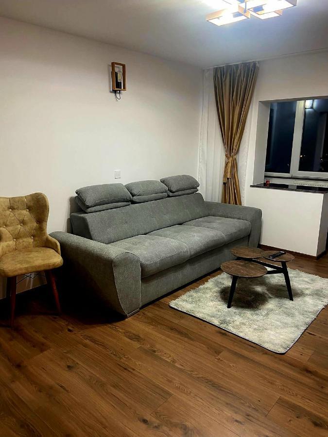 Apartament Eve Câmpulung Moldovenesc エクステリア 写真